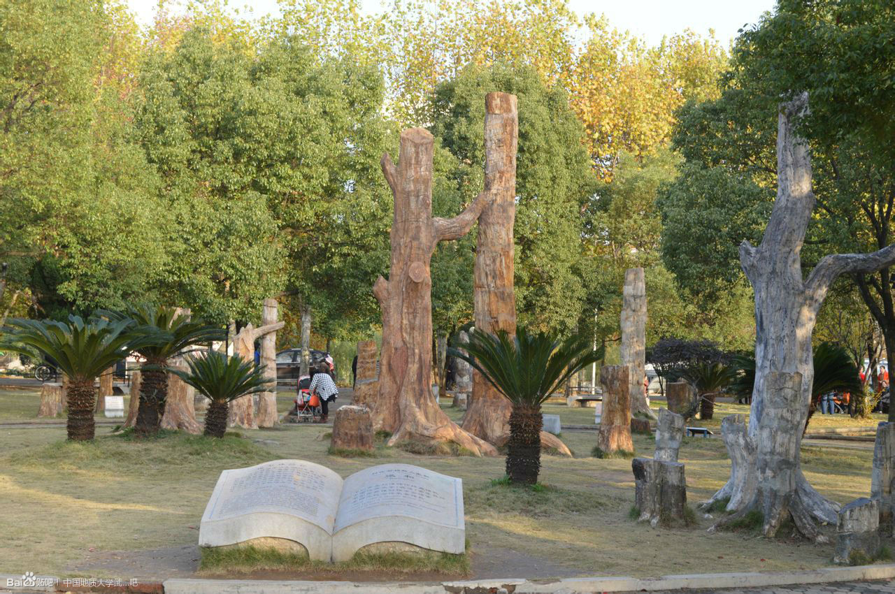 谈球吧网页版登录入口